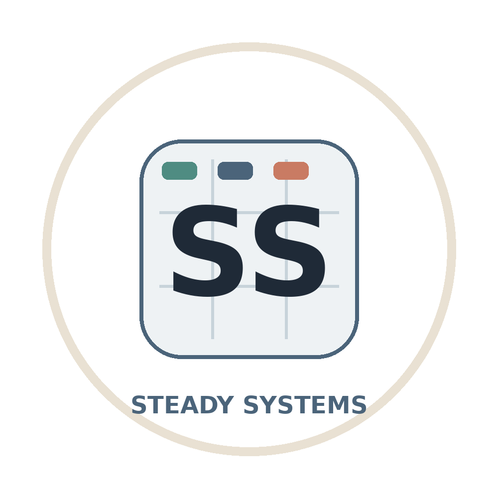 Steady Systems icon