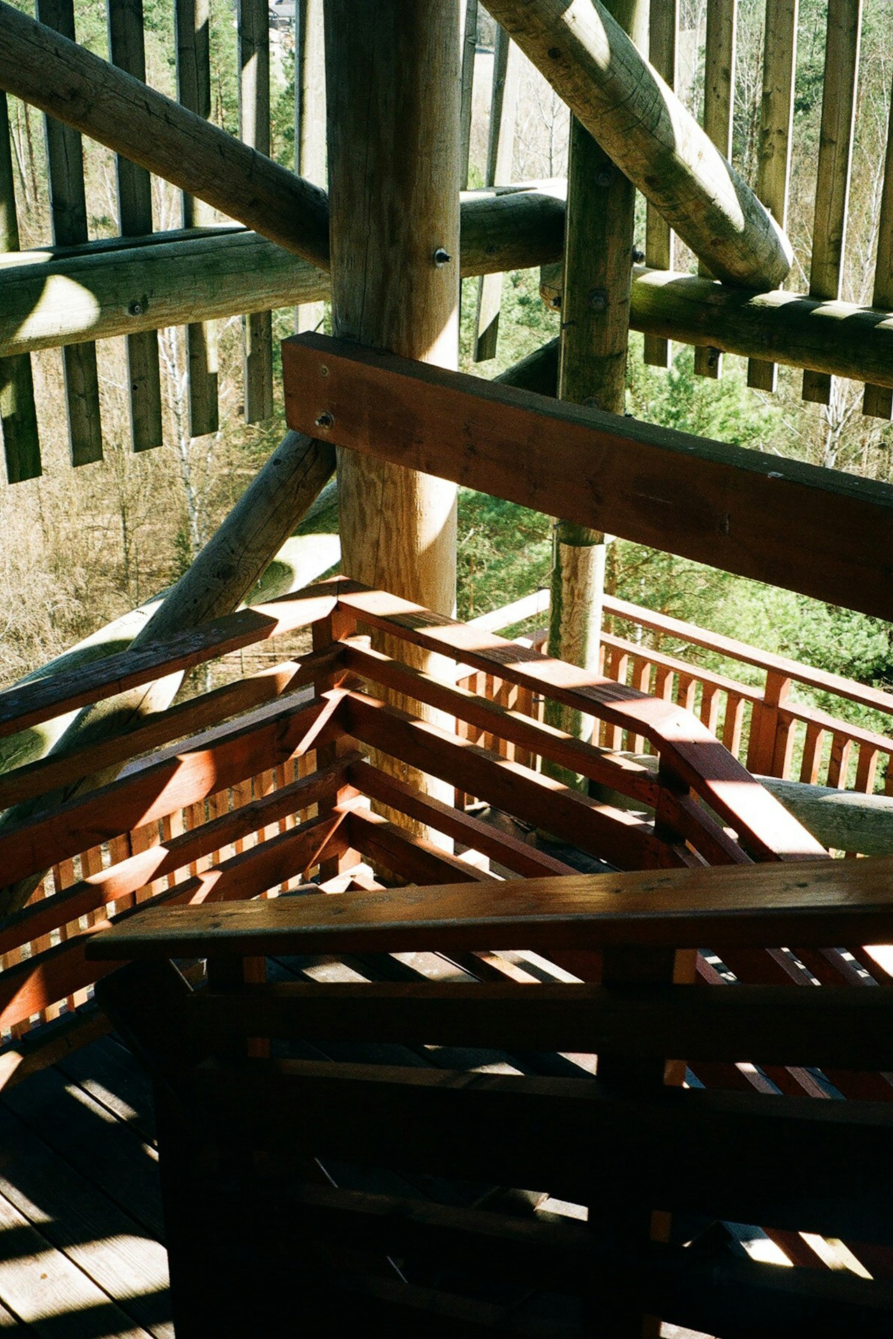 Pergola and deck in Lutz