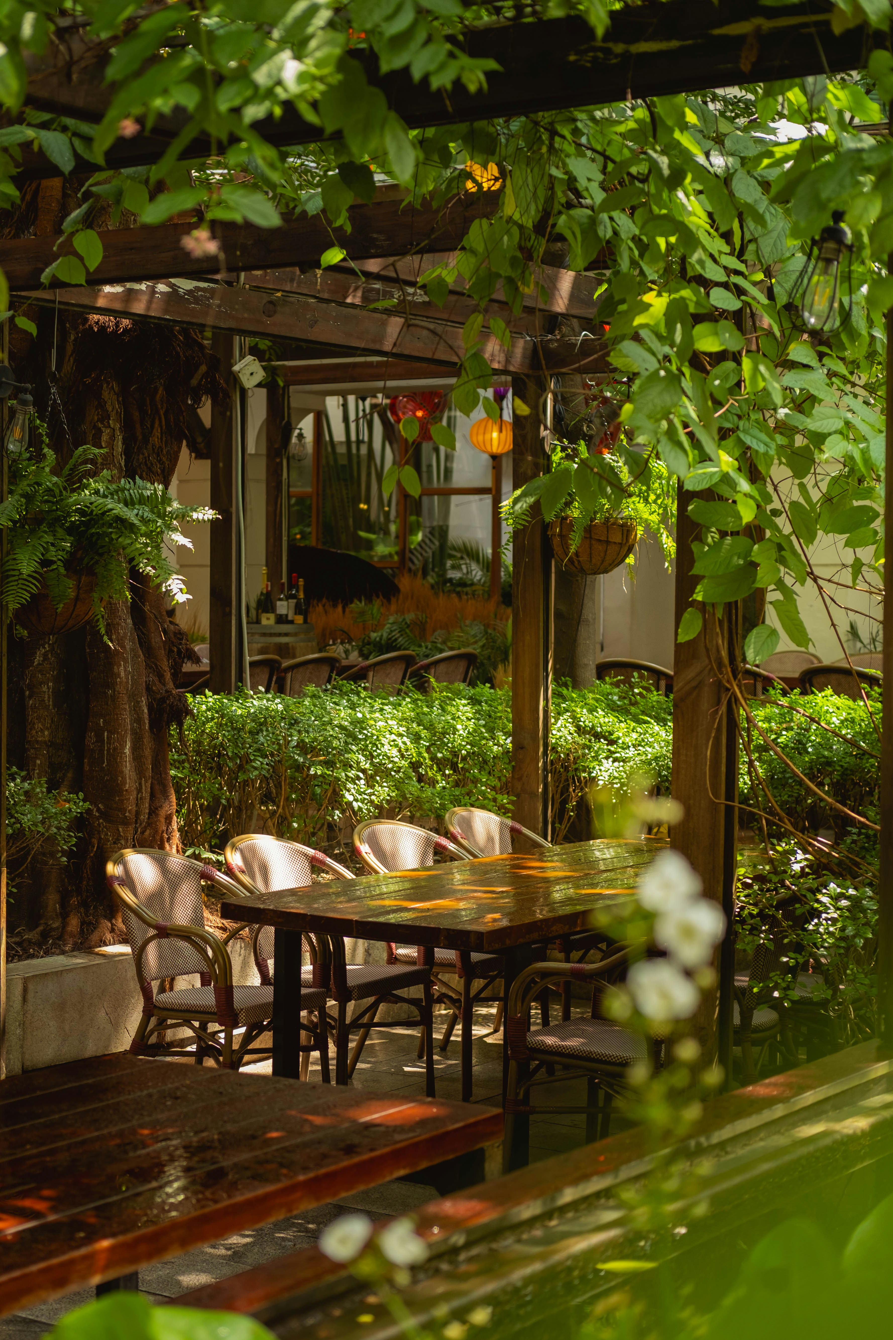 Patio Design